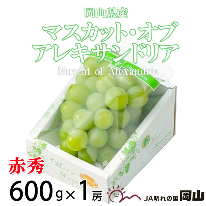 楽天市場】ぶどう シャインマスカット 晴王 特秀 600g×2房 岡山県産 ＪＡおかやま 葡萄 ブドウ ギフト お取り寄せ : はちやフルーツ楽天市場店