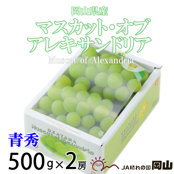 楽天市場】お中元 ぶどう マスカット オブ アレキサンドリア 青秀 400g×2房 岡山県産 ＪＡおかやま 葡萄 ブドウ : はちやフルーツ楽天市場店