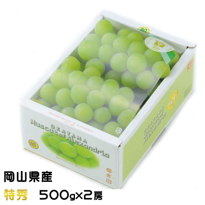 ぶどう マスカット オブ アレキサンドリア 特秀 500g×2房 岡山県産 ＪＡおかやま 葡萄 ブドウ 6,600円