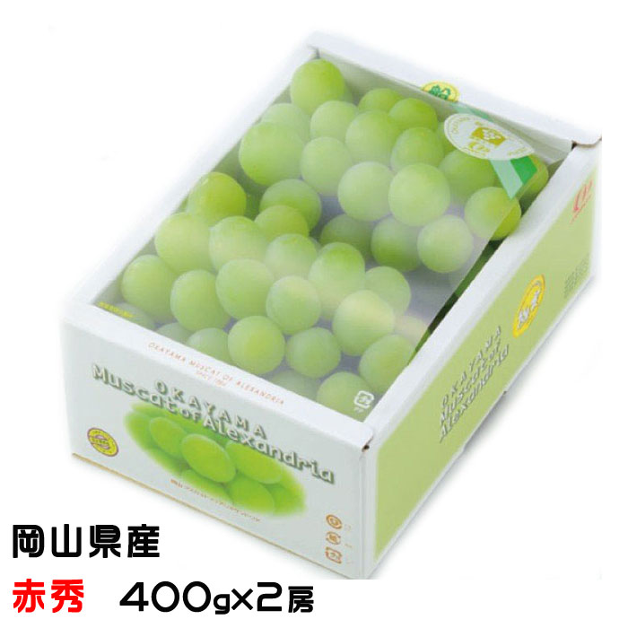 ぶどう マスカット オブ アレキサンドリア 赤秀 400g×2房 岡山県産 ＪＡおかやま 葡萄 ブドウ 父の日