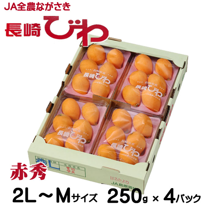 びわ 長崎びわ 赤秀 2L～Mサイズ 1パック5～8玉 250g×4 長崎県産 お取り寄せグルメ ギフト お取り寄せ