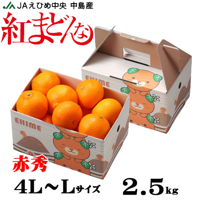 楽天市場】お歳暮 みかん 紅まどんな 〇等級 4L〜Lサイズ 2.5kg みきゃん箱入り 愛媛県産 JAえひめ中央 中島選果場 ミカン 蜜柑 ギフト  お取り寄せ : はちやフルーツ楽天市場店