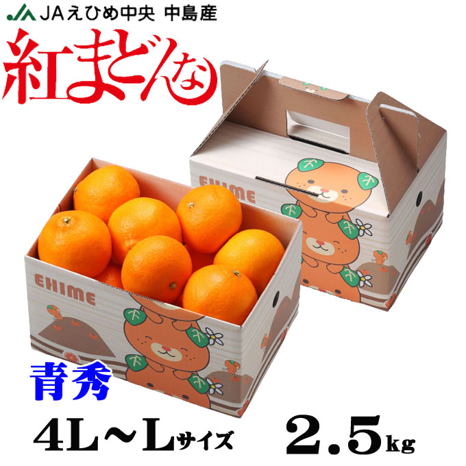 楽天市場】お歳暮 みかん 紅まどんな 〇等級 4L〜Lサイズ 2.5kg みきゃん箱入り 愛媛県産 JAえひめ中央 中島選果場 ミカン 蜜柑 ギフト  お取り寄せ : はちやフルーツ楽天市場店