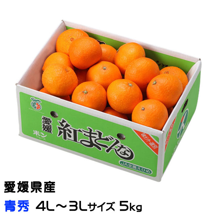 楽天市場】お歳暮 みかん 紅まどんな 赤秀 4L〜3Lサイズ 5kg