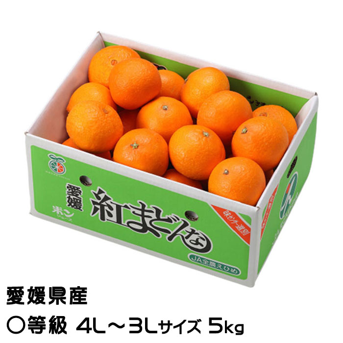 みかん様 みかん様 ミカン様 ミカン様 蜜柑様 レビュー】ZXシリーズ10周年