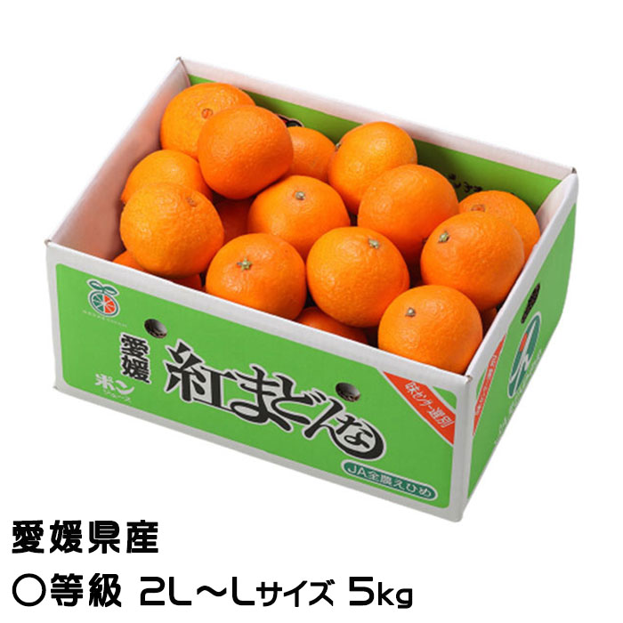 楽天市場】お歳暮 みかん 紅まどんな 赤秀 4L〜3Lサイズ 5kg