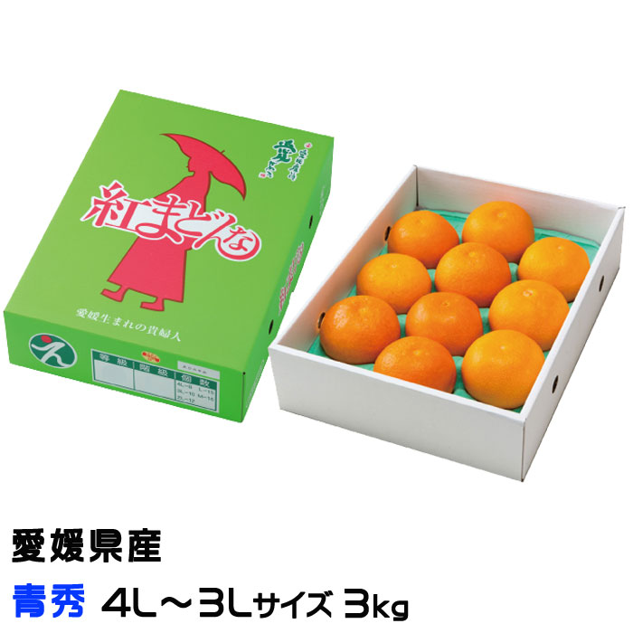 おみかん。さん専用 楽天市場】お歳暮 みかん 紅まどんな 青秀 4L〜Lサイズ 3kg 8玉