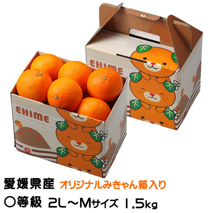 ミカン様2点お纏め有難う御座います Amazon.co.jp: みかん せとか 2.5kg×2箱 〇等級 2L～Mサイズ み