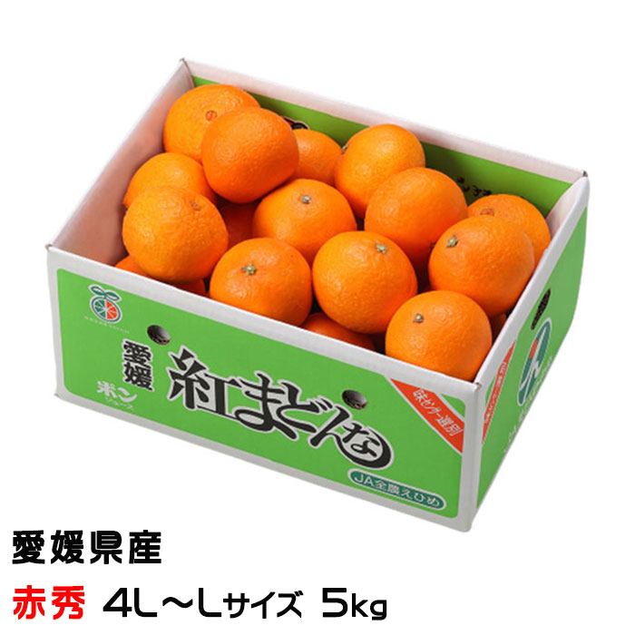 楽天市場】みかん 紅まどんな 〇等級 2L〜Lサイズ 5kg 愛媛県産 JA