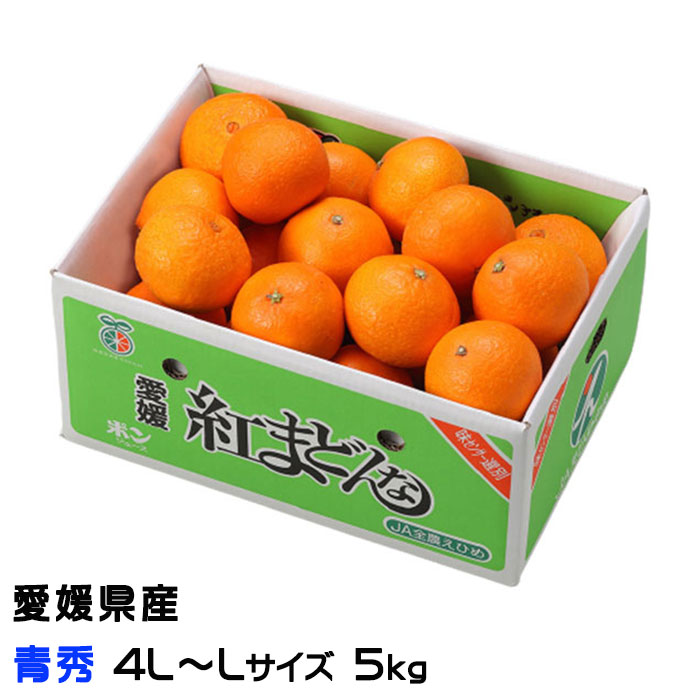 みかん 楽天市場】【予約】【2025年11月25日新発売】【本州のみ 送料