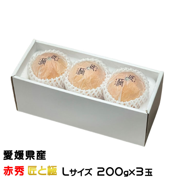 みかん鮫様 みかん鮫様 北海道指定文化財｜北海道石狩市公式ホームページ