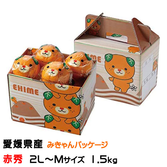 みかん 紅プリンセス みきゃんパッケージ 赤秀 2L～Mサイズ 1.5kg 愛媛県産 ミカン 蜜柑 ギフト