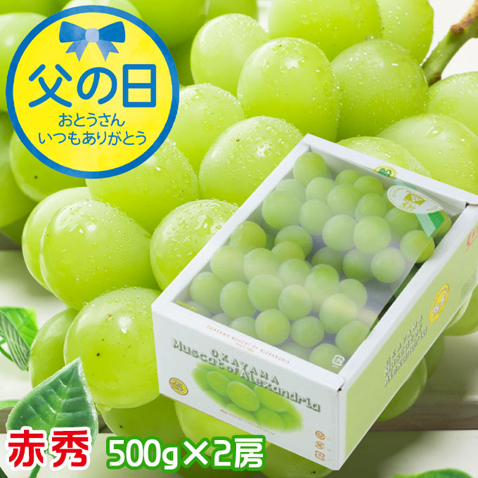 父の日 2025 マスカットオブアレキサンドリア 赤秀 500g×2房 岡山県産 ＪＡおかやま 葡萄 ぶどう ブドウ ギフト プレゼント