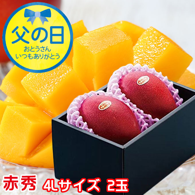父の日 2025 みやざき完熟マンゴー 赤秀 4L× 2玉 マンゴー 宮崎県産 JA宮崎経済連 ギフト プレゼント