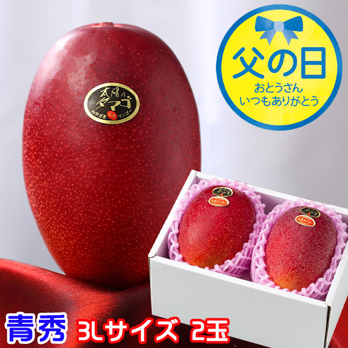 父の日 2025 太陽のタマゴ 太陽のたまご 青秀 3L×2玉 マンゴー 宮崎県産 JA宮崎経済連 ギフト プレゼント