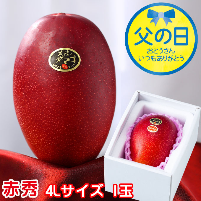 父の日 2025 太陽のタマゴ 太陽のたまご 赤秀 4L×1玉 マンゴー 宮崎県産 JA宮崎経済連 ギフト プレゼント