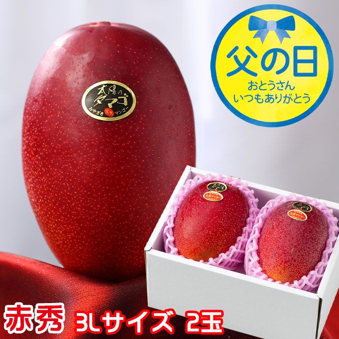 父の日 2025 太陽のタマゴ 太陽のたまご 赤秀 3L×2玉 マンゴー 宮崎県産 JA宮崎経済連 ギフト プレゼント