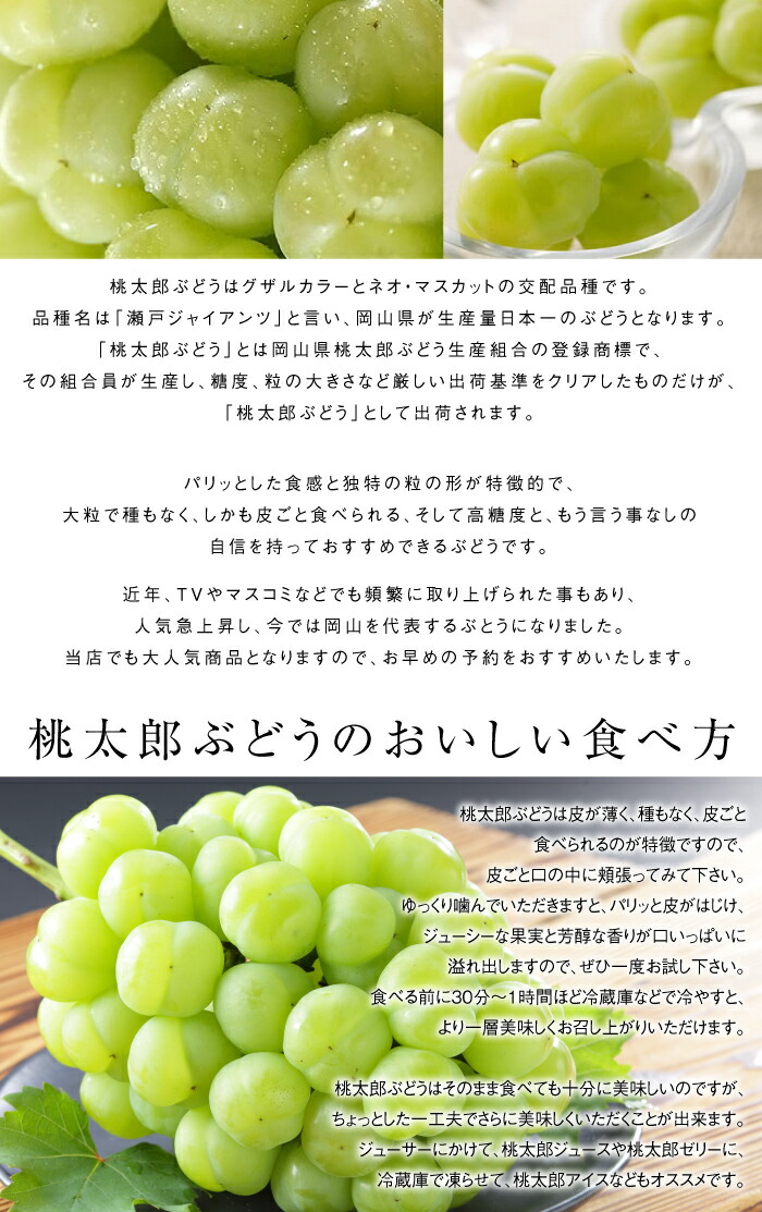 楽天市場 ぶどう 桃太郎ぶどう 青秀 約600g 1房 岡山県産 香川県産 桃太郎ぶどう生産組合 夏ギフト 葡萄 ブドウ はちやフルーツ楽天市場店