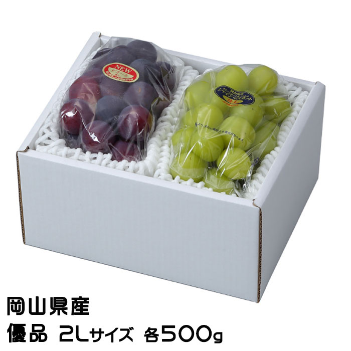 お中元 ぶどう 詰め合わせ 優品 2Lサイズ ニューピオーネ 500g×1房 シャインマスカット晴王  500g×1房 岡山県産