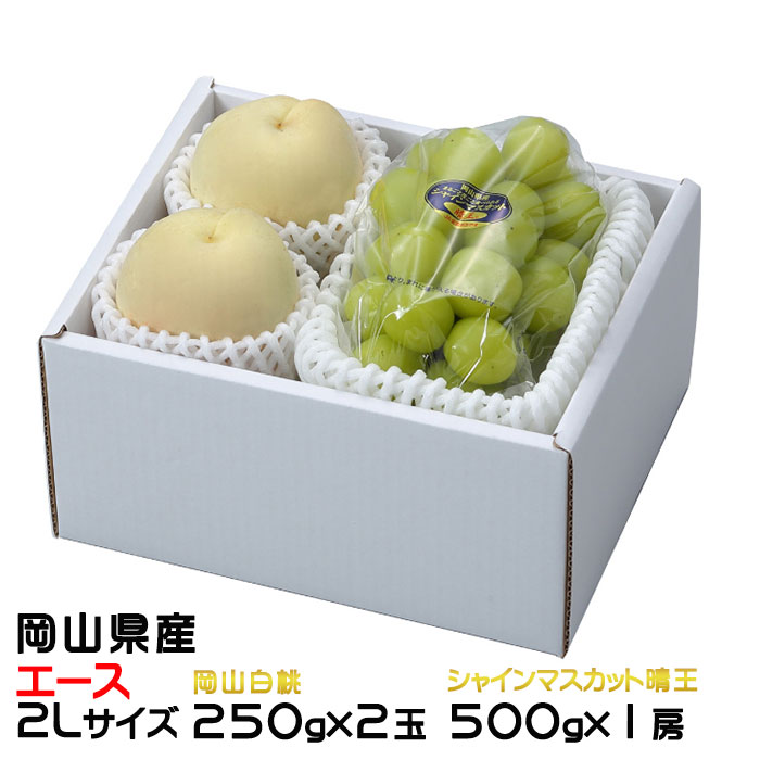 お中元 桃 ぶどう 詰め合わせ エース 2Lサイズ 岡山白桃 250g×2玉 シャインマスカット晴王 500g×1房 岡山県産 セット プレゼント