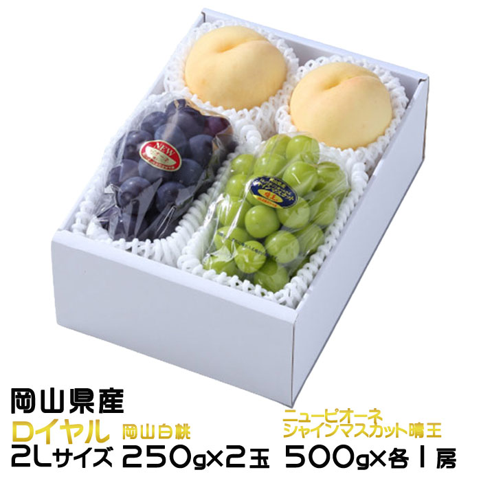 お中元 桃 ぶどう 詰め合わせ ★ ロイヤル 2Lサイズ 岡山白桃 250g×2玉 シャインマスカット晴王 500g×1房 ニューピオーネ 500g×1房 岡山県産 セット