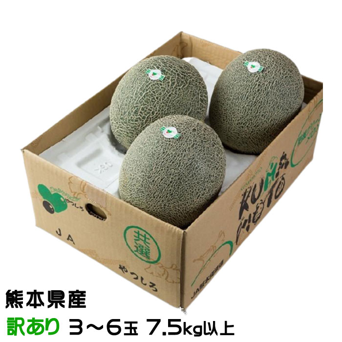 熊本県産 肥後グリーンメロン 優品 6Lサイズ 2玉入り 箱込み約5.4キロ