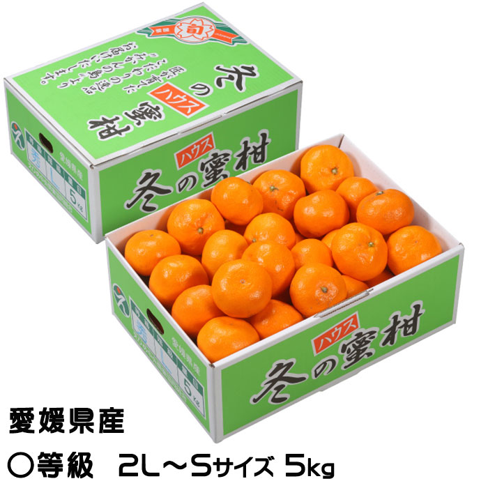 楽天市場】濱の姫みかん 西宇和四天王ブランド お歳暮愛媛みかんに