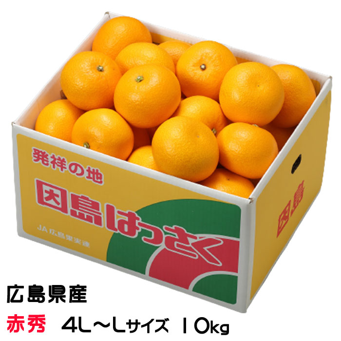 八朔 はっさく 赤秀 4L～L 20～35玉 10kg 広島県産 JA尾道市 因島選果場 ハッサク みかん ミカン
