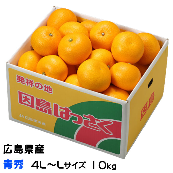 八朔 はっさく 青秀 4L～L 20～35玉 10kg 広島県産 JA尾道市 因島選果場 ハッサク みかん ミカン