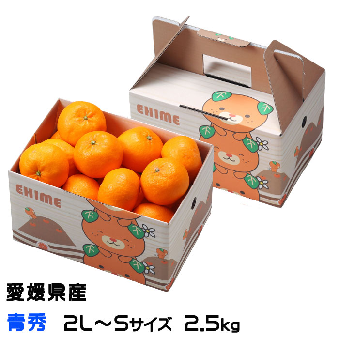 みかん 完熟春みかん カラマンダリン 青秀 2L〜S 2.5kg みきゃん箱入り 愛媛県産 ＪＡえひめ中央 中島選果場 ミカン 蜜柑 ギフト  【99%OFF!】