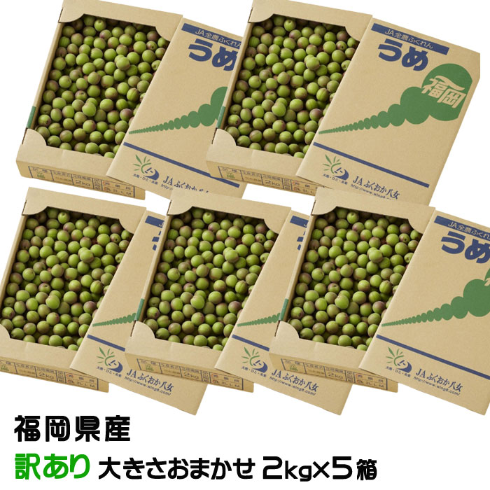 梅 小梅 光陽 風のいたずら 訳あり ★2kg×5箱 大きさおまかせ JA福岡八女 福岡県産 梅干し用 生梅 うめ ウメ