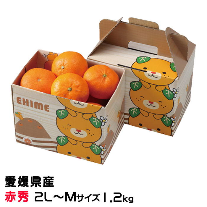 楽天市場】みかん 媛小春 ひめこはる 秀品 大きさおまかせ 2.5kg 愛媛