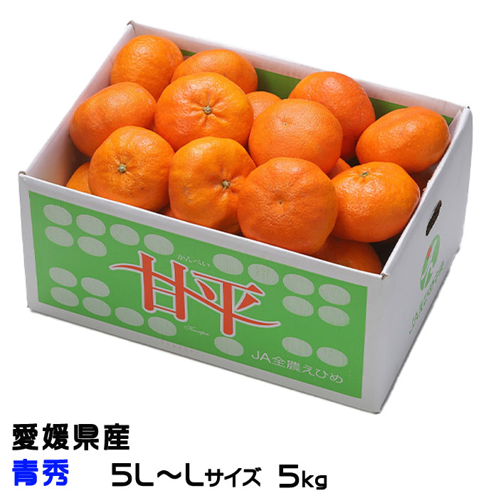 みかん 甘平 かんぺい 青秀 5L～Lサイズ ■ 5kg 愛媛県産 JAえひめ中央 中島選果場 蜜柑 ミカン ギフト お取り寄せ