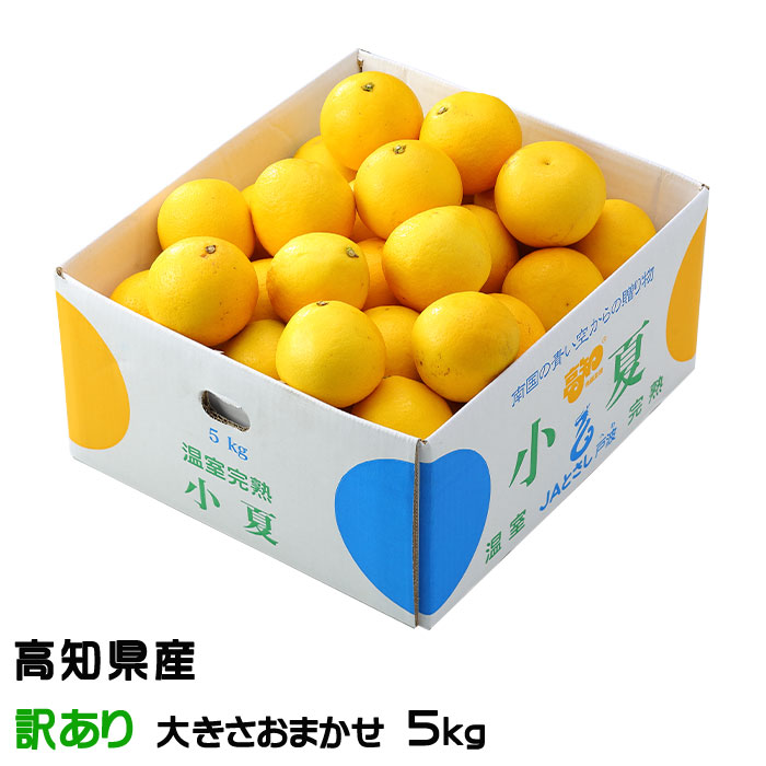 楽天市場】在庫SALE 小夏 みかん 大きさお任せ 2.5kg 高知県 訳 楽天市場】在庫SALE 小夏 みかん 大きさお任せ 2.5kg 高知県 訳