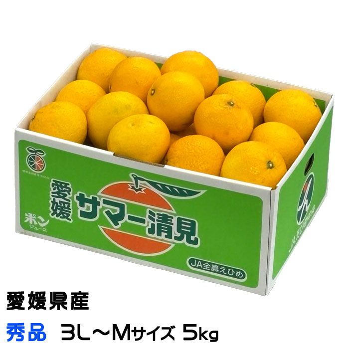 みかん サマー清見 秀品 3L～Mサイズ 5kg 希少な黄色い清見オレンジ 愛媛県 中島産 JAえひめ中央