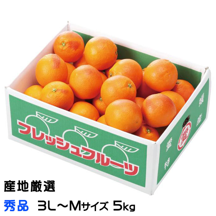 楽天市場】ブラッドオレンジ 【モロ】 約4kg愛媛県 宇和島産
