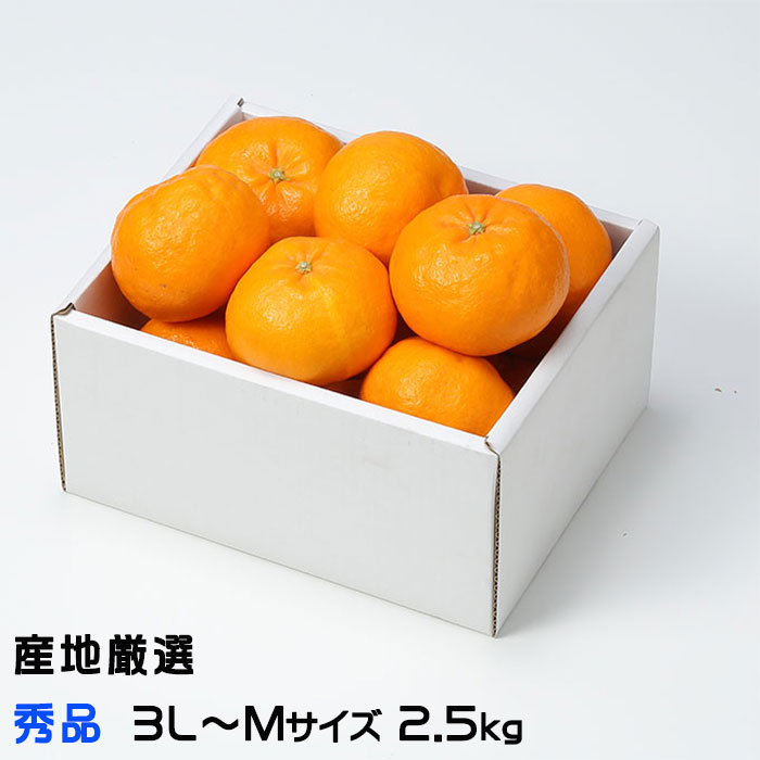 【送料無料】愛媛産　ブラッドオレンジ　モロ　中～小玉　約4ｋｇ 送料無料】 愛媛産 ブラッドオレンジ モロ 中～小玉 約8kg