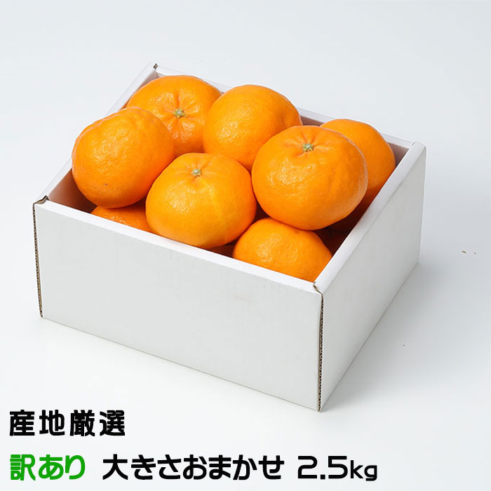 【送料無料】愛媛産　ブラッドオレンジ　モロ　中～小玉　約4ｋｇ 終盤です【送料無料】愛媛産 ブラッドオレンジ モロ 小玉 12kg