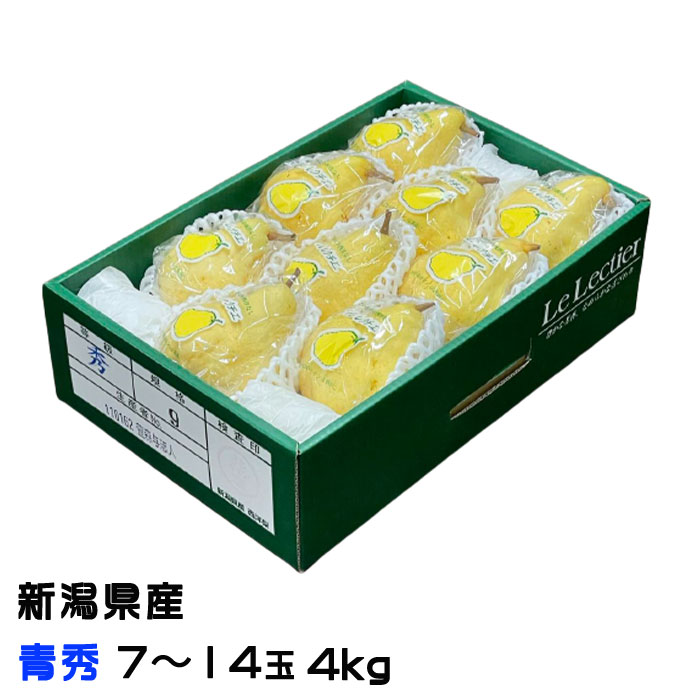 洋梨 ルレクチェ 青秀 7玉～14玉 4kg 新潟県産 ＪＡ新潟 梨 ナシ なし ギフト