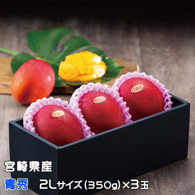マンゴー みやざき完熟マンゴー 青秀 2Lサイズ 350g以上×3玉 宮崎県産 ＪＡ宮崎経済連 ギフト お取り寄せグルメ ■□