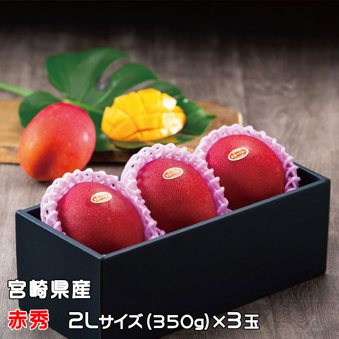 マンゴー みやざき完熟マンゴー 赤秀 2Lサイズ 350g以上×3玉 宮崎県産 ＪＡ宮崎経済連 ギフト お取り寄せグルメ 〇 父の日