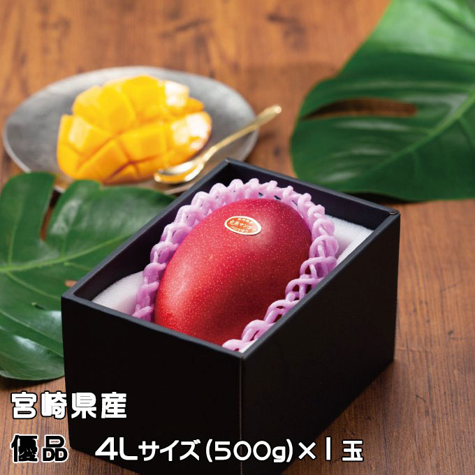 完熟マンゴー520gから550gの品5個画像品〔一部の地域のみクール代金込み 楽天市場】沖縄県より産地直送 JAおきなわ 完熟沖縄マンゴー 秀