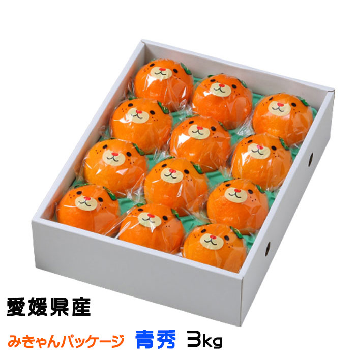 楽天市場】みかん せとか 赤秀 匠と極 4L〜Lサイズ 8〜15玉 3kg