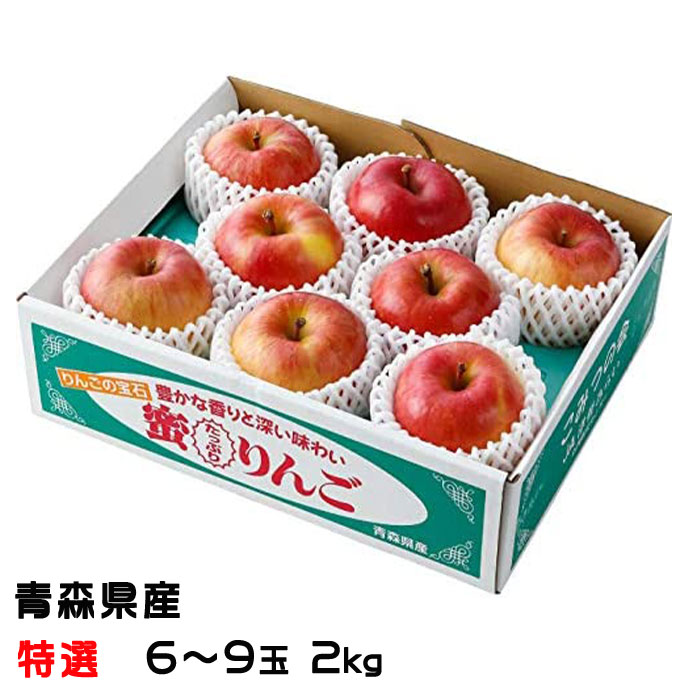 りんごのオカミページです♪ SKECHERS スケッチャーズ スリップインズ メンズ Slip-ins