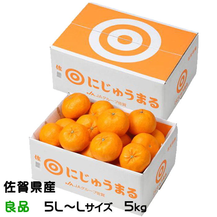 みかん にじゅうまる 良品 5L～Lサイズ 5kg JAグループ佐賀 ギフト
