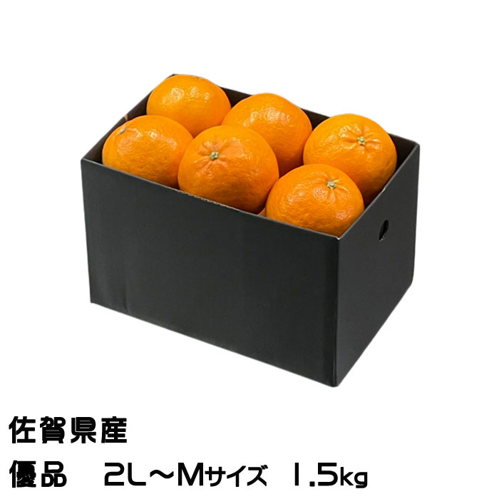 楽天市場】みかん にじゅうまる 良品 2L〜Mサイズ 1.5kg JA