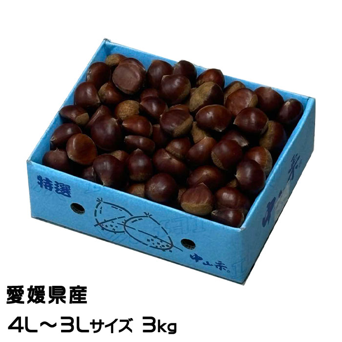 楽天市場】大人気栗の入荷**【秋季*限定】筑波栗つくばくり(中生