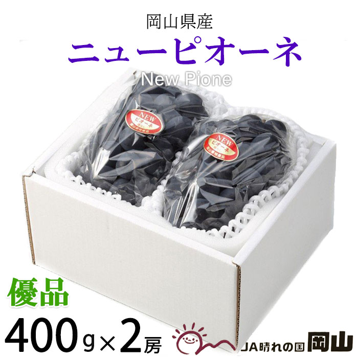 楽天市場】お中元 ぶどう 桃太郎ぶどう 青秀 400g×2房 岡山県産 香川県産 夏ギフト 葡萄 ブドウ : はちやフルーツ楽天市場店