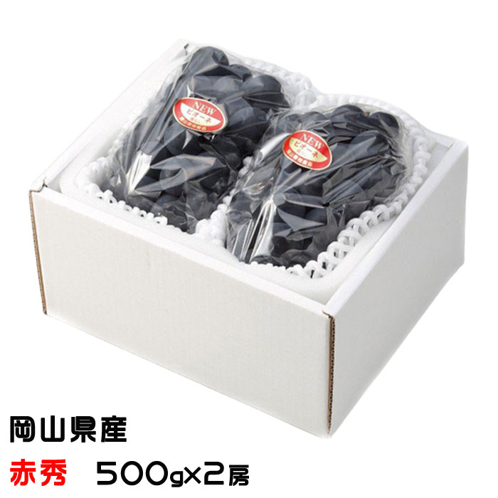 ぶどう ニューピオーネ 赤秀 500g×2房 岡山県産 ＪＡおかやま 葡萄 ブドウ