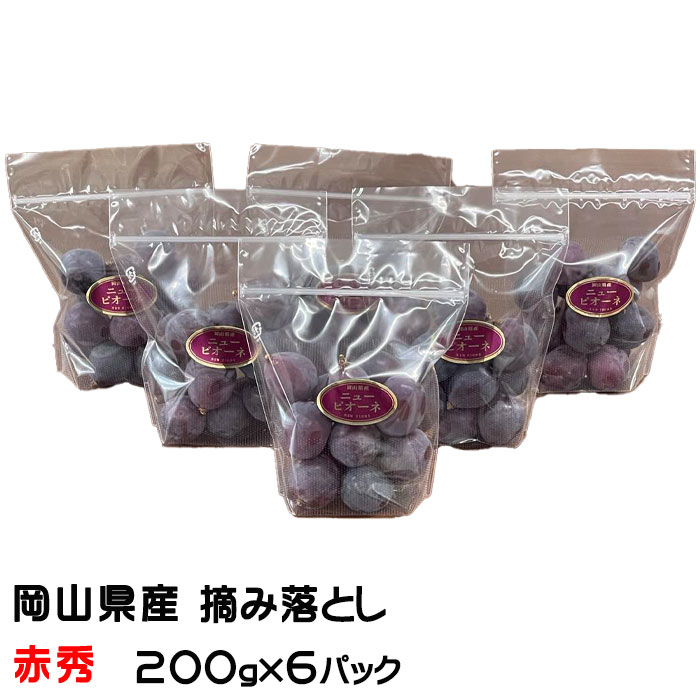 岡山県産　ニューピオーネ6房　1房約600g ☆予約販売【岡山県】岡山産ニューピオーネ1房【産地直送